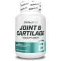 Joint & Cartilage