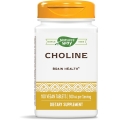 Choline 500 mg