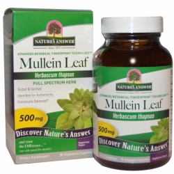 Mullein Leaf 500 mg (срок 30.04.19)