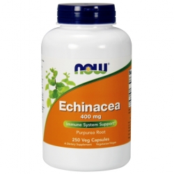 Echinacea 400 mg (срок 31.11.22)