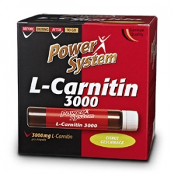 L-Carnitin 3000
